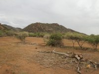 BlackRhinoReserve088 : 2016, 70th Birthday, Black Rhino Game Reserve, Landscape