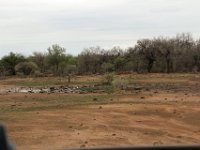 BlackRhinoReserve090 : 2016, 70th Birthday, Black Rhino Game Reserve, Landscape