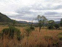 BlackRhinoReserve093 : 2016, 70th Birthday, Black Rhino Game Reserve, Landscape
